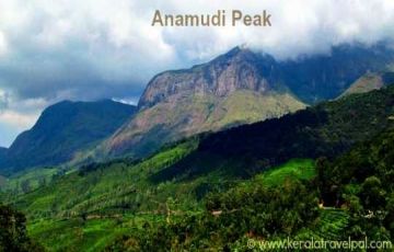 Family Getaway 6 Days 5 Nights Munnar, Alleppey, Kovalam, Trivandrum with Cochin Vacation Package