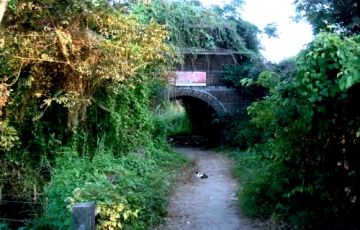 Pleasurable Alleppey Tour Package for 8 Days 7 Nights