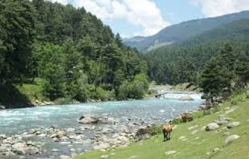 Magical 6 Days 5 Nights Srinagar, Gulmarg, Pahalgam with Sonmarg Vacation Package