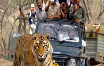 Best 3 Days 2 Nights Jim Corbett National Park with Ramnagar Tour Package
