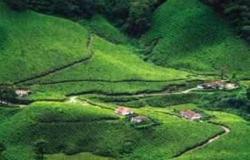 Pleasurable 6 Days 5 Nights Cochin, Munnar, Thekkady, Alleppey and Kumarakom Tour Package