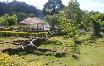 Pleasurable 6 Days 5 Nights Cochin, Munnar, Thekkady, Alleppey and Kumarakom Tour Package