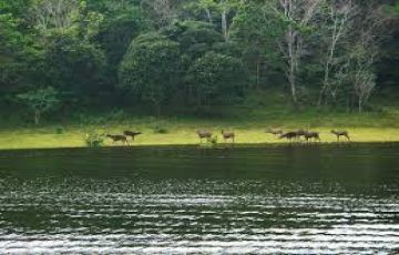 Best 6 Days 5 Nights Cochin, Munnar with Thekkady Holiday Package