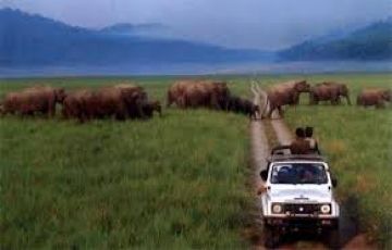 Family Getaway 8 Days 7 Nights Nanital, Mussoorie, Corbett with Ranikhet Tour Package