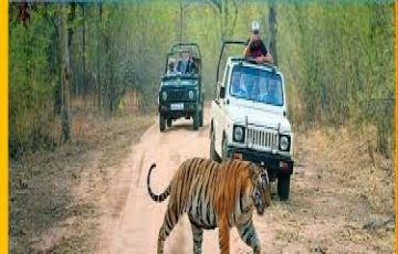 Beautiful 6 Days 5 Nights Ranikhet Vacation Package