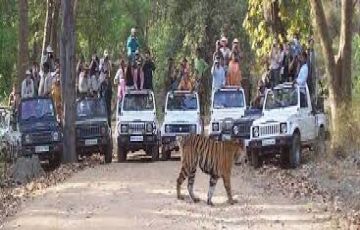 Beautiful 6 Days 5 Nights Ranikhet Vacation Package