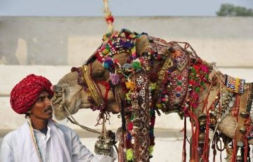 Magical 9 Days 8 Nights Udaipur Trip Package
