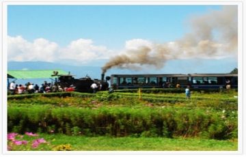 Honeymoon Tour in Munnar 3 Days / 2 Nights