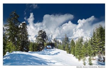 Heart-warming 6 Days 5 Nights Rohtang Pass Holiday Package