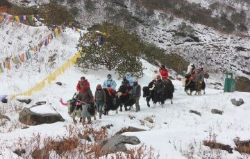 Experience Bagdogra Tour Package for 4 Days 3 Nights