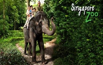 Simply Singapore 4 Night / 5 Days