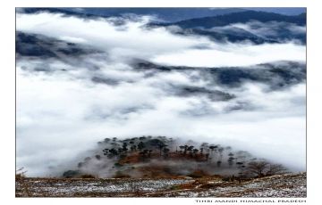 Pleasurable Kullu Tour Package for 7 Days 6 Nights