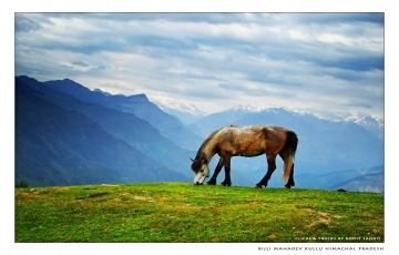 Pleasurable Kullu Tour Package for 7 Days 6 Nights