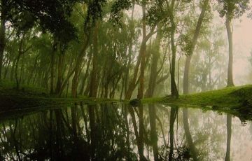 Experience 8 Days 7 Nights Kalutara, Sinharaja, Kitulgala, Nuwara Eliya, Horton Plains, Kandy, Dambulla, Sigiriya and Polonnaruwa Trip Package