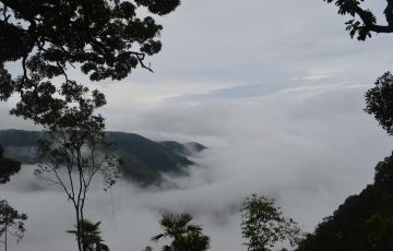Ecstatic 6 Days 5 Nights Kaziranga, Shillong with Cherraunji Trip Package