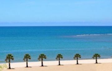 8 Days 7 Nights Airport to Passikudah Beach Trip Package