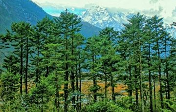 Amazing 4 Days 3 Nights Kalimpong Trip Package