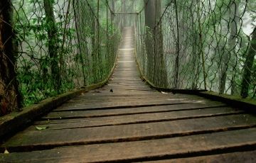 5 Days 4 Nights Darjeeling, Kalimpong, Lava and Lolegoan Trip Package