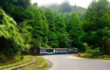 Best 10 Days 9 Nights Kalimpong, Gangtok, Peeling, Darjeeling, Mirik with Pashupati Tour Package