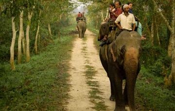 Heart-warming 5 Days 4 Nights Kaziranga Nationa Park Tour Package