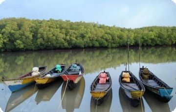 Heart-warming 5 Days 4 Nights Havelock Island Holiday Package