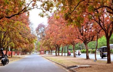 10 Days 9 Nights New Delhi, Manali, Shimla and Dalhousie Vacation Package