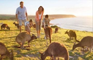 Best 9 Days 8 Nights Sydney, Gold, Coast and Melbourne Tour Package