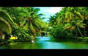 Amazing 11 Days 10 Nights Munnar Tour Package