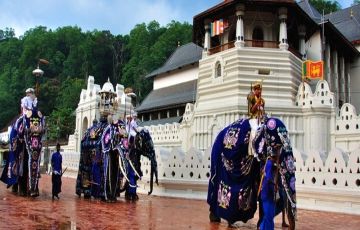 4 Days 3 Nights Colombo with Sri Lanka Tour Package