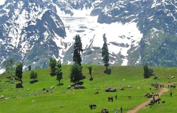 Beautiful 7 Days 6 Nights Manasbal Tour Package