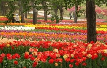 Pleasurable 3 Days 2 Nights Ooty Trip Package