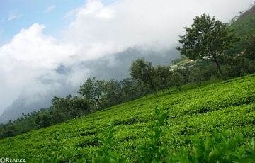 Pleasurable 3 Days 2 Nights Ooty Trip Package