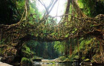 Cherrapunji Tour Package for 3 Days 2 Nights