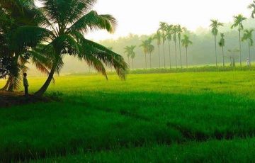 Magical 7 Days 6 Nights Cochin, Munnar, Alleppey, Kovalam, Tiruvandhram and Thekkady Trip Package