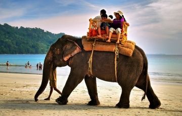 Experience 6 Days 5 Nights Port Blair with Havelock Island Vacation Package