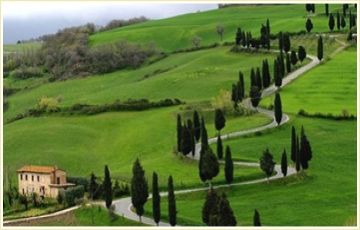 Experience 10 Days 9 Nights Bangalore, Coorg, Ooty with Kodaikanal Vacation Package