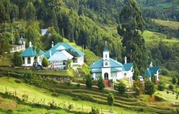 Heart-warming 7 Days 6 Nights Coachin, Munnar, Thekkady, Alleppy House boat, Kovalam with Trivandrum Tour Package