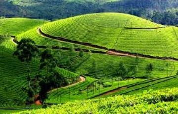 Magical 5 Days 4 Nights Cochin Hill Stations Trip Package