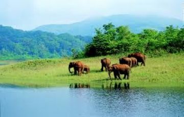 Magical 5 Days 4 Nights Cochin Hill Stations Trip Package