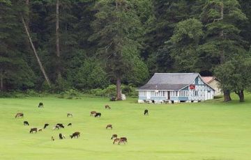 Heart-warming 8 Days 7 Nights Shimla, Manali, Kullu and Dalhousie Holiday Package