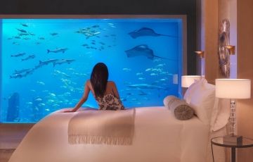 Heart-warming Dhow Cruise Tour Package for 5 Days 4 Nights