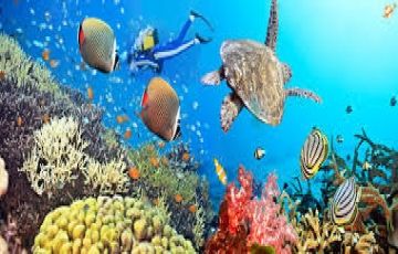 Best 5 Days 4 Nights Andaman, Port Blair, Havelock Island with Radhanagar Beach Vacation Package