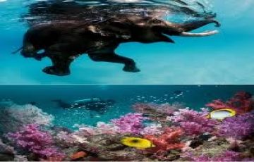 Best 5 Days 4 Nights Andaman, Port Blair, Havelock Island with Radhanagar Beach Vacation Package