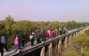 Family Getaway 3 Days 2 Nights Hamilton Bunglow with Jharkhali Watchtower Trip Package