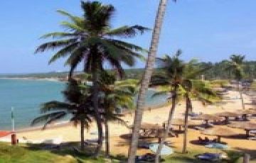 Heart-warming 5 Days 4 Nights Munnar2C Thekkady2C Alleppey with kerala Trip Package