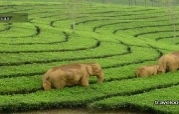 Cochin to Kanyakumari Tour Package