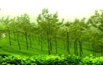 Beautiful 4 Days 3 Nights Cochin Tour Package