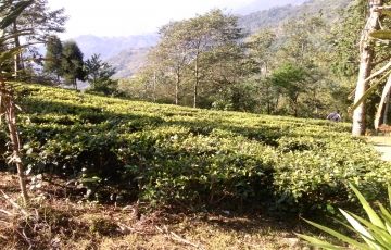 Memorable 5 Days 4 Nights Tiger Hill Tour Package