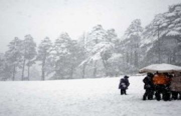 Heart-warming 6 Days 5 Nights Gulmarg Trip Package