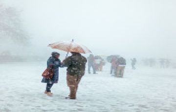 Beautiful 7 Days 6 Nights Shimla, Manali and Chandigarh Vacation Package